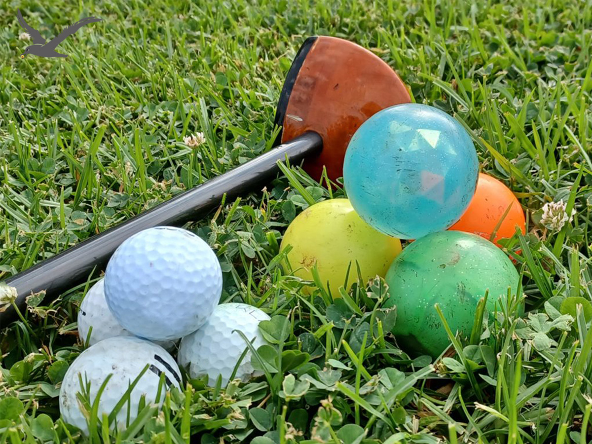Mangfoldighed af park golfkugler